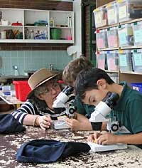 Australian National Botanic Gardens - Accommodation Broadbeach 2