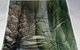 Tapet Gallery - thumb 0