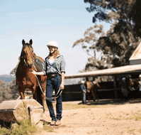 Watsons Trail Rides