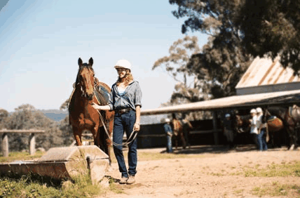 Watsons Trail Rides - Accommodation Broadbeach 0