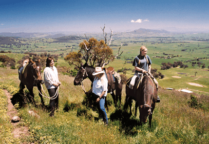 Watsons Trail Rides - Accommodation Broadbeach 2