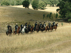 McCormacks Mountain Valley Trail Rides - Accommodation Broadbeach 0