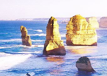 Bunyip Tours - Accommodation Broadbeach 3