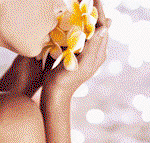 Tranquillity Spa  Beauty - Accommodation Broadbeach