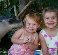 Dolphin Marine Magic - Accommodation Broadbeach