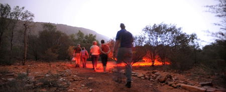 Alice Springs Desert Park - Accommodation Broadbeach 4