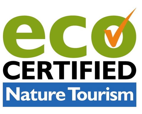 Aquascene Fish Feeding Sanctuary - Accommodation Broadbeach 4