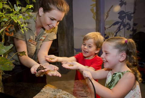 WILD LIFE Sydney Zoo - Accommodation Broadbeach 1