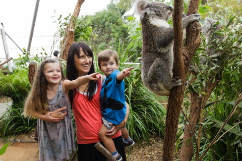 WILD LIFE Sydney Zoo - Accommodation Broadbeach 3