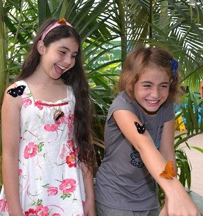 WILD LIFE Sydney Zoo - Accommodation Broadbeach 4