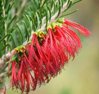 Ethel Daw Scenic Drive - Accommodation Broadbeach