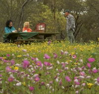 Gwambygine Park - Accommodation Broadbeach