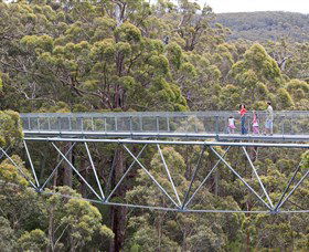 Nornalup WA Accommodation Broadbeach