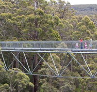 Walpole Wilderness Discovery Centre - Accommodation Broadbeach