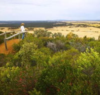 Archer Drive Scenic Drive and Lookout - Accommodation Broadbeach