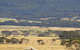 Ravensthorpe Range - thumb 0