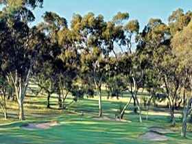 Tanunda Pines Golf Club - Accommodation Broadbeach 0