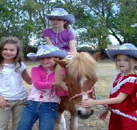 Amberainbow Pony Rides - Accommodation Broadbeach