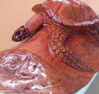 Ants Redgum Gallery - Accommodation Broadbeach