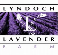 Lyndoch Lavender Farm and Cafe - Accommodation Broadbeach