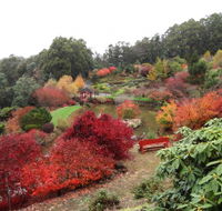 Emu Valley Rhododendron Garden - Accommodation Broadbeach