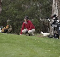 Tasmania Golf Club - The - Accommodation Broadbeach
