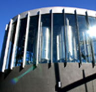 Moo Brew - Accommodation Broadbeach