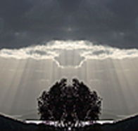 aart. Gallery of Fine Art - Accommodation Broadbeach