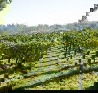 Surveyor's Hill Vineyards - Accommodation Broadbeach