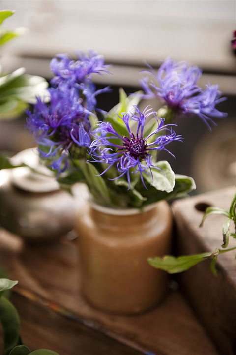 Salamanca Market - Accommodation Broadbeach 1