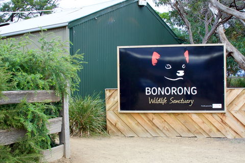 Bonorong Wildlife Sanctuary - Accommodation Broadbeach 1