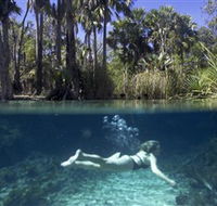 Bitter Springs - Accommodation Broadbeach