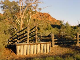 Illamurta Springs Conservation Reserve - Accommodation Broadbeach 0