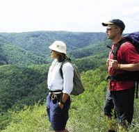 Sunshine Coast Hinterland Great Walk - Accommodation Broadbeach
