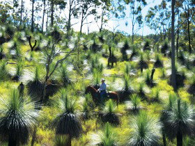 Bicentennial National Trail - Section 5 - Accommodation Broadbeach 0
