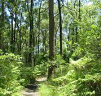 Mapleton Falls National Park - Accommodation Broadbeach