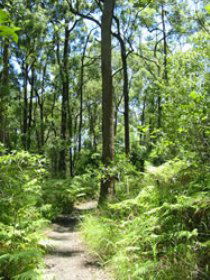 Mapleton Falls National Park - Accommodation Broadbeach 0