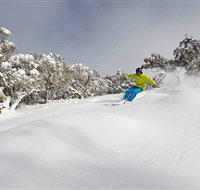 Mt Buller and Mt Stirling Alpine Resort