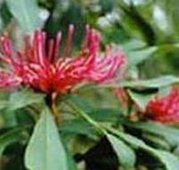 Alfred National Park - Accommodation Broadbeach