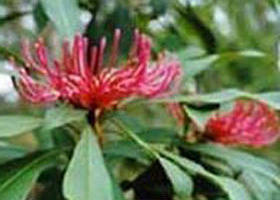 Alfred National Park - Accommodation Broadbeach 0