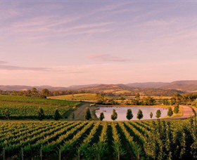 Oakridge Wines - Accommodation Broadbeach 0