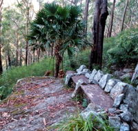 Wodi Wodi Walking Track - Accommodation Broadbeach