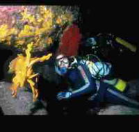 Solitary Islands Marine Park - Accommodation Broadbeach