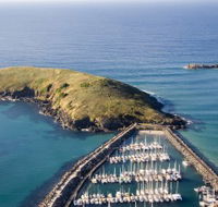 Muttonbird Island Nature Reserve - Accommodation Broadbeach