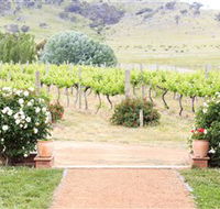 Brindabella Hills Winery - Accommodation Broadbeach