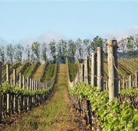 Philip Shaw Wines - Accommodation Broadbeach