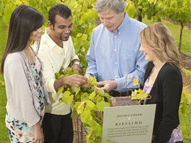 Jacob's Creek Vineyard Tour - Accommodation Broadbeach 0