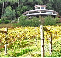 Peveril Vineyard/Beechy Berries - Accommodation Broadbeach
