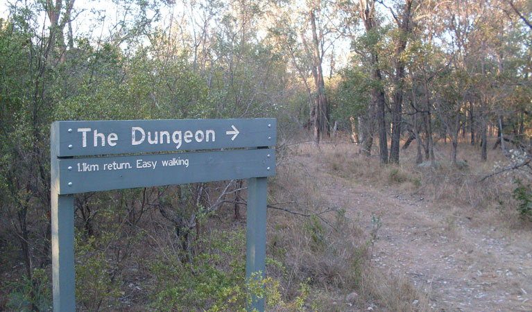Limestone NSW Accommodation Broadbeach