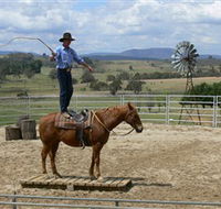 Boggy Creek Shows - Accommodation Broadbeach